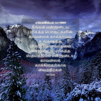 Picture 04 - எசேக்கியேல் 44:8 TAMIRV - நீங்கள் என்னுடைய - Bible Verse Picture