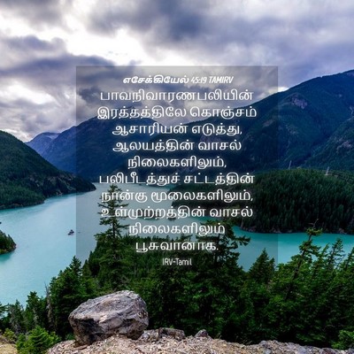 Picture 04 - எசேக்கியேல் 45:19 TAMIRV - பாவநிவாரணபலியின் - Bible Verse Picture
