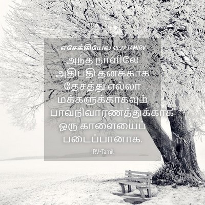 Picture 04 - எசேக்கியேல் 45:22 TAMIRV - அந்த நாளிலே - Bible Verse Picture