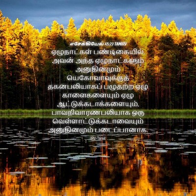 Picture 04 - எசேக்கியேல் 45:23 TAMIRV - ஏழுநாட்கள் - Bible Verse Picture