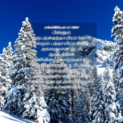 Picture 04 - எசேக்கியேல் 45:5 TAMIRV - பின்னும் - Bible Verse Picture