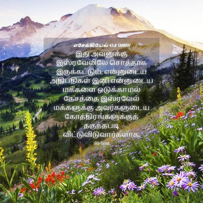 Picture 04 - எசேக்கியேல் 45:8 TAMIRV - இது அவனுக்கு - Bible Verse Picture