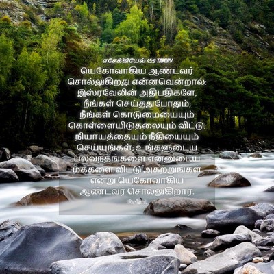 Picture 04 - எசேக்கியேல் 45:9 TAMIRV - யெகோவாகிய ஆண்டவர் - Bible Verse Picture