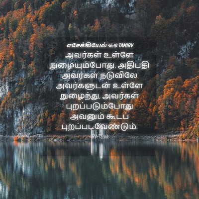 Picture 04 - எசேக்கியேல் 46:10 TAMIRV - அவர்கள் உள்ளே - Bible Verse Picture