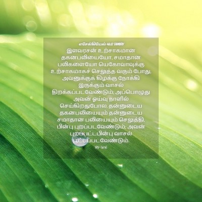 Picture 04 - எசேக்கியேல் 46:12 TAMIRV - இளவரசன் உற்சாகமான - Bible Verse Picture