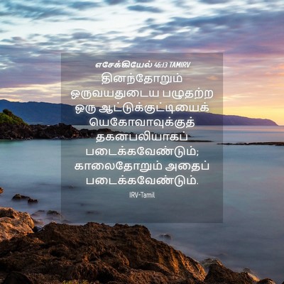 Picture 04 - எசேக்கியேல் 46:13 TAMIRV - தினந்தோறும் - Bible Verse Picture