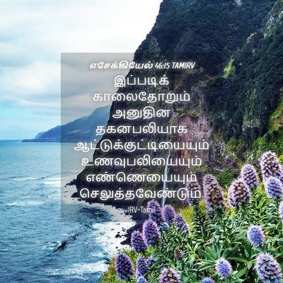 Picture 04 - எசேக்கியேல் 46:15 TAMIRV - இப்படிக் - Bible Verse Picture