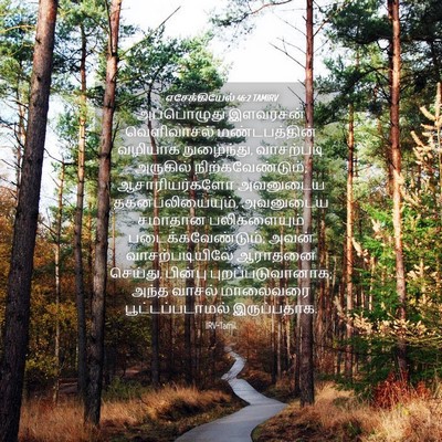 Picture 04 - எசேக்கியேல் 46:2 TAMIRV - அப்பொழுது இளவரசன் - Bible Verse Picture