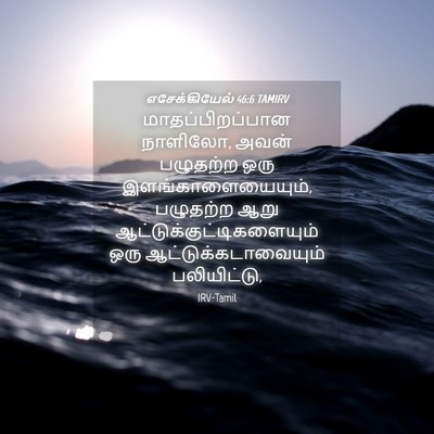 Picture 04 - எசேக்கியேல் 46:6 TAMIRV - மாதப்பிறப்பான - Bible Verse Picture