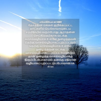 Picture 04 - எசேக்கியேல் 46:9 TAMIRV - தேசத்தின் மக்கள் - Bible Verse Picture