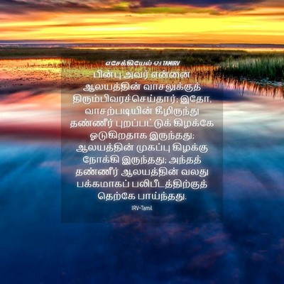 Picture 04 - எசேக்கியேல் 47:1 TAMIRV - பின்பு அவர் என்னை - Bible Verse Picture