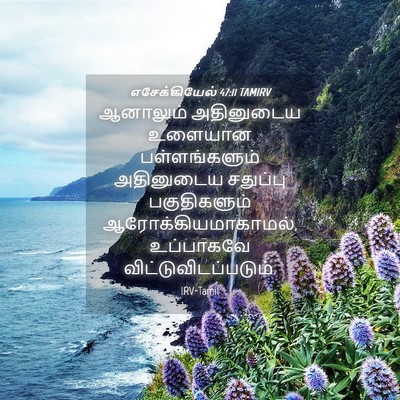 Picture 04 - எசேக்கியேல் 47:11 TAMIRV - ஆனாலும் அதினுடைய - Bible Verse Picture