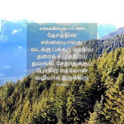 Picture 04 - எசேக்கியேல் 47:15 TAMIRV - தேசத்தின் - Bible Verse Picture