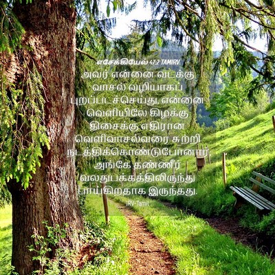 Picture 04 - எசேக்கியேல் 47:2 TAMIRV - அவர் என்னை வடக்கு - Bible Verse Picture