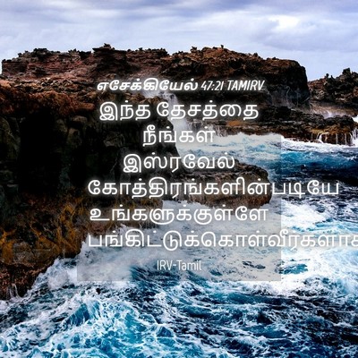 Picture 04 - எசேக்கியேல் 47:21 TAMIRV - இந்த தேசத்தை - Bible Verse Picture