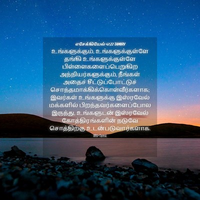Picture 04 - எசேக்கியேல் 47:22 TAMIRV - உங்களுக்கும், - Bible Verse Picture