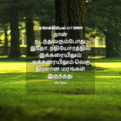 Picture 04 - எசேக்கியேல் 47:7 TAMIRV - நான் - Bible Verse Picture