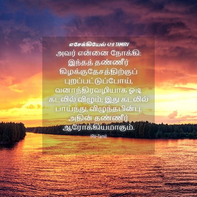 Picture 04 - எசேக்கியேல் 47:8 TAMIRV - அவர் என்னை நோக்கி: - Bible Verse Picture