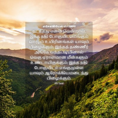 Picture 04 - எசேக்கியேல் 47:9 TAMIRV - நடந்தது - Bible Verse Picture