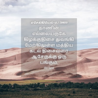Picture 04 - எசேக்கியேல் 48:2 TAMIRV - தாணின் எல்லையருகே - Bible Verse Picture