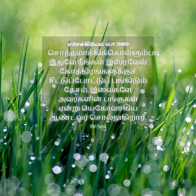 Picture 04 - எசேக்கியேல் 48:29 TAMIRV -  - Bible Verse Picture