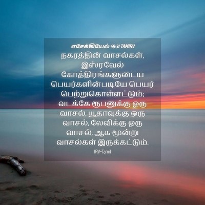Picture 04 - எசேக்கியேல் 48:31 TAMIRV - நகரத்தின் - Bible Verse Picture