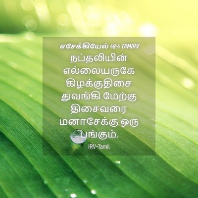 Picture 04 - எசேக்கியேல் 48:4 TAMIRV - நப்தலியின் - Bible Verse Picture