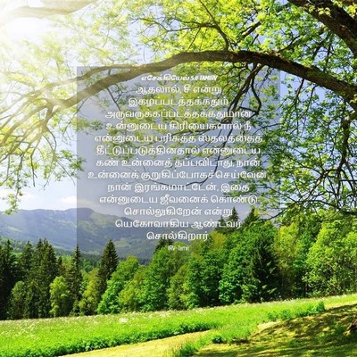 Picture 04 - எசேக்கியேல் 5:11 TAMIRV - ஆதலால், சீ என்று - Bible Verse Picture