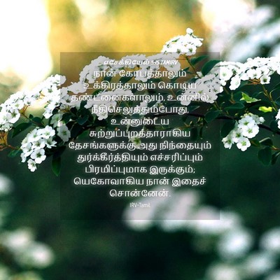 Picture 04 - எசேக்கியேல் 5:15 TAMIRV - நான் கோபத்தாலும் - Bible Verse Picture
