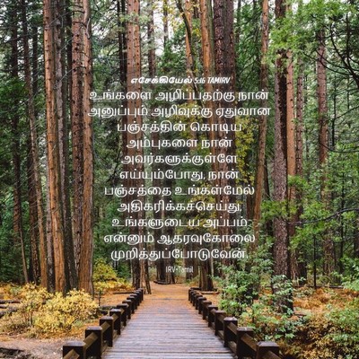 Picture 04 - எசேக்கியேல் 5:16 TAMIRV - உங்களை - Bible Verse Picture
