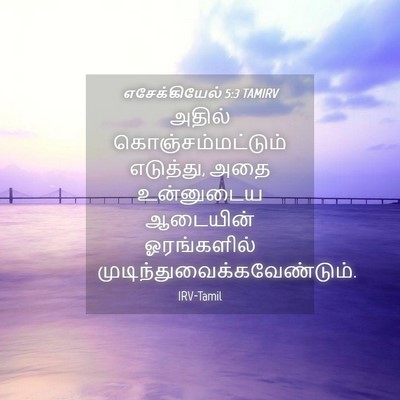 Picture 04 - எசேக்கியேல் 5:3 TAMIRV - அதில் - Bible Verse Picture