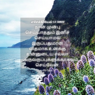 Picture 04 - எசேக்கியேல் 5:9 TAMIRV - நான் முன்பு - Bible Verse Picture