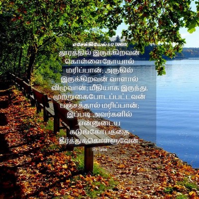 Picture 04 - எசேக்கியேல் 6:12 TAMIRV - தூரத்தில் - Bible Verse Picture