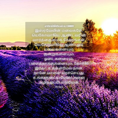 Picture 04 - எசேக்கியேல் 6:3 TAMIRV - இஸ்ரவேலின் - Bible Verse Picture