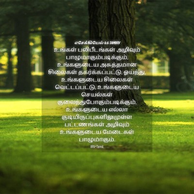 Picture 04 - எசேக்கியேல் 6:6 TAMIRV - உங்கள் - Bible Verse Picture