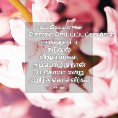 Picture 04 - எசேக்கியேல் 6:7 TAMIRV -  - Bible Verse Picture