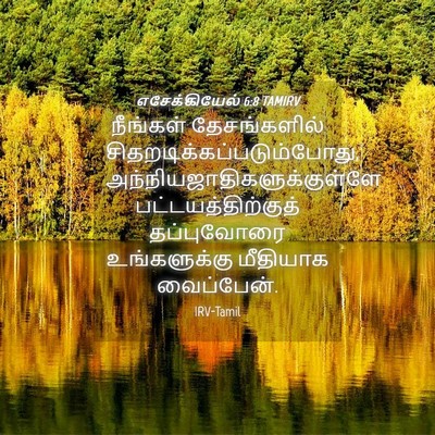Picture 04 - எசேக்கியேல் 6:8 TAMIRV - நீங்கள் - Bible Verse Picture