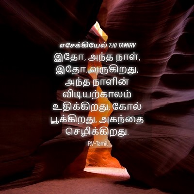 Picture 04 - எசேக்கியேல் 7:10 TAMIRV - இதோ, அந்த நாள், இதோ, - Bible Verse Picture