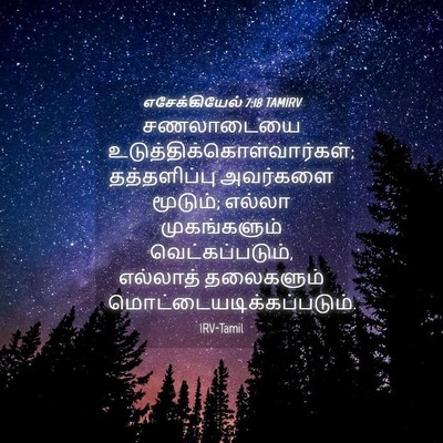Picture 04 - எசேக்கியேல் 7:18 TAMIRV - சணலாடையை - Bible Verse Picture