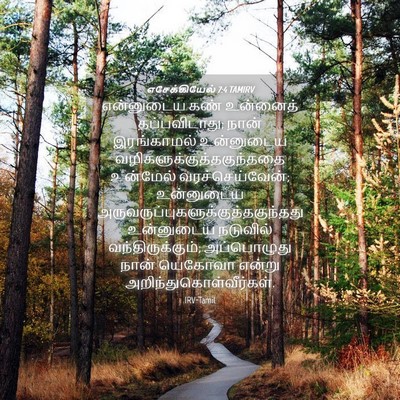 Picture 04 - எசேக்கியேல் 7:4 TAMIRV - என்னுடைய கண் - Bible Verse Picture