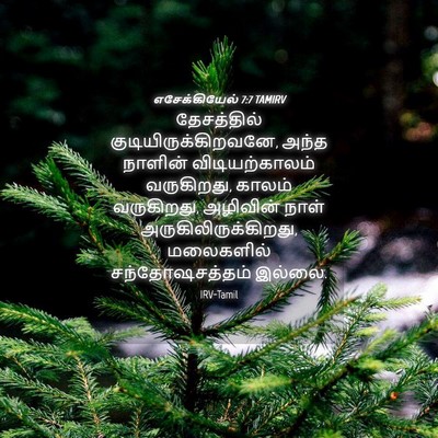 Picture 04 - எசேக்கியேல் 7:7 TAMIRV - தேசத்தில் - Bible Verse Picture