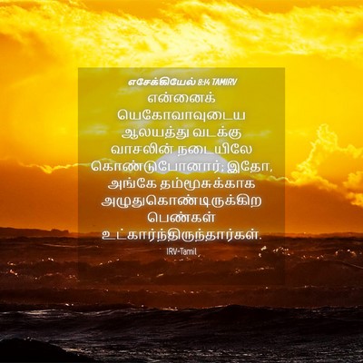 Picture 04 - எசேக்கியேல் 8:14 TAMIRV - என்னைக் - Bible Verse Picture