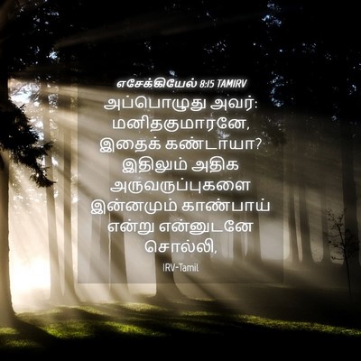 Picture 04 - எசேக்கியேல் 8:15 TAMIRV - அப்பொழுது அவர்: - Bible Verse Picture