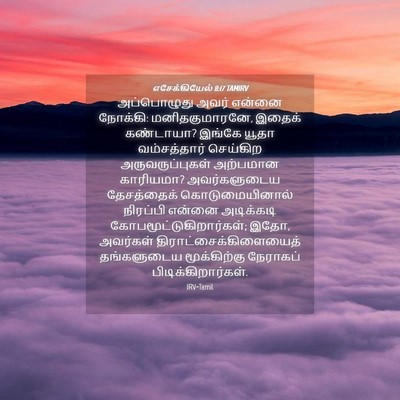 Picture 04 - எசேக்கியேல் 8:17 TAMIRV - அப்பொழுது அவர் - Bible Verse Picture
