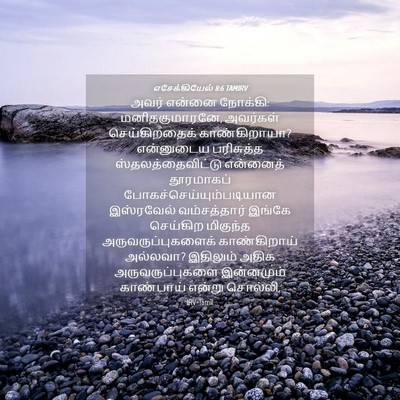 Picture 04 - எசேக்கியேல் 8:6 TAMIRV - அவர் என்னை நோக்கி: - Bible Verse Picture