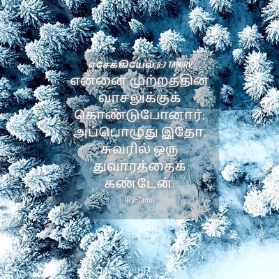 Picture 04 - எசேக்கியேல் 8:7 TAMIRV - என்னை முற்றத்தின் - Bible Verse Picture
