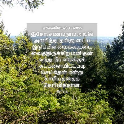 Picture 04 - எசேக்கியேல் 9:11 TAMIRV - இதோ, சணல்நூல் - Bible Verse Picture