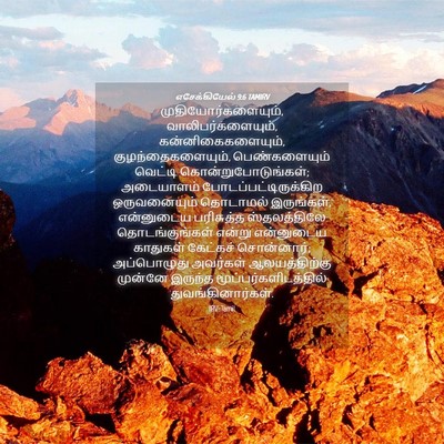 Picture 04 - எசேக்கியேல் 9:6 TAMIRV - முதியோர்களையும், - Bible Verse Picture