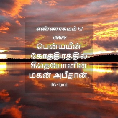 Picture 04 - எண்ணாகமம் 1:11 TAMIRV - பென்யமீன் - Bible Verse Picture