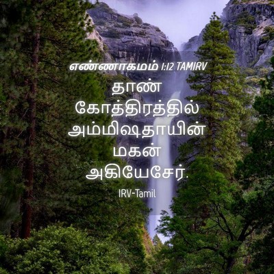 Picture 04 - எண்ணாகமம் 1:12 TAMIRV - தாண் - Bible Verse Picture
